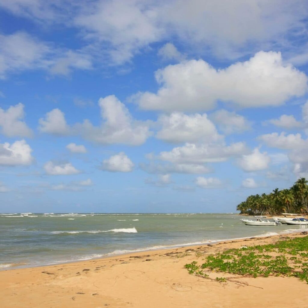 Punta Cana Airport to Occidental Punta Cana